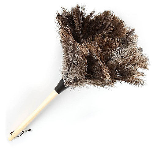 Why We Love Cleaning with Ostrich Feather Dusters - Huron Valley Why We Love Cleaning with Ostrich Feather Dusters - Huron Valley